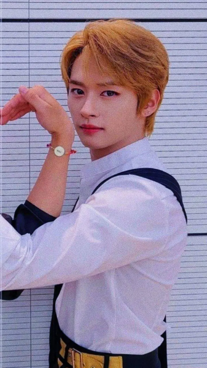 ai character: stray kids  background