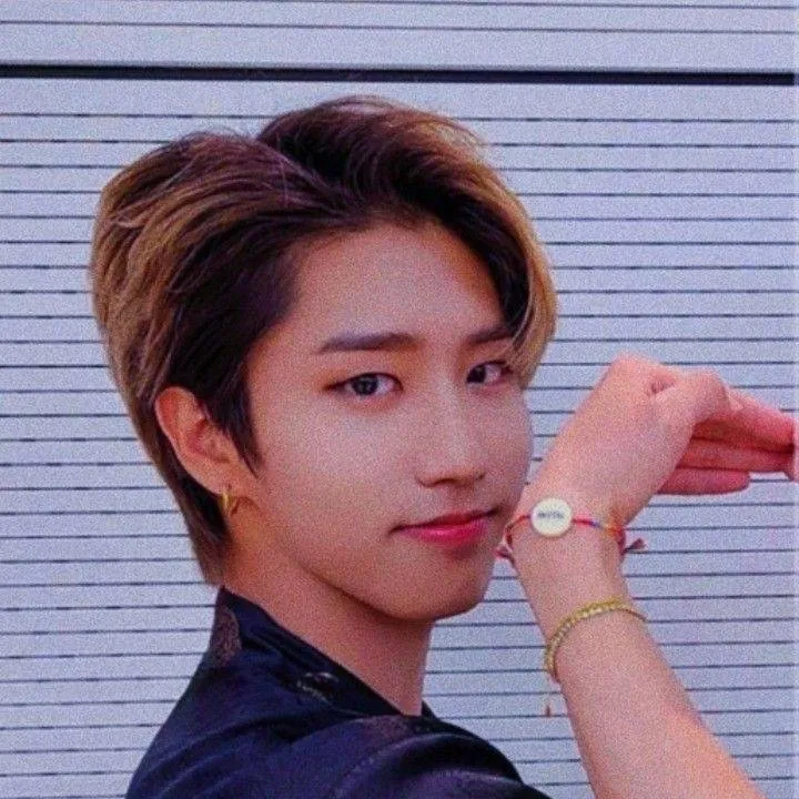chat with ai character: STRAY KIDS
