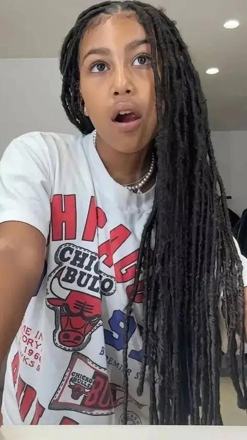 ai character: North  background