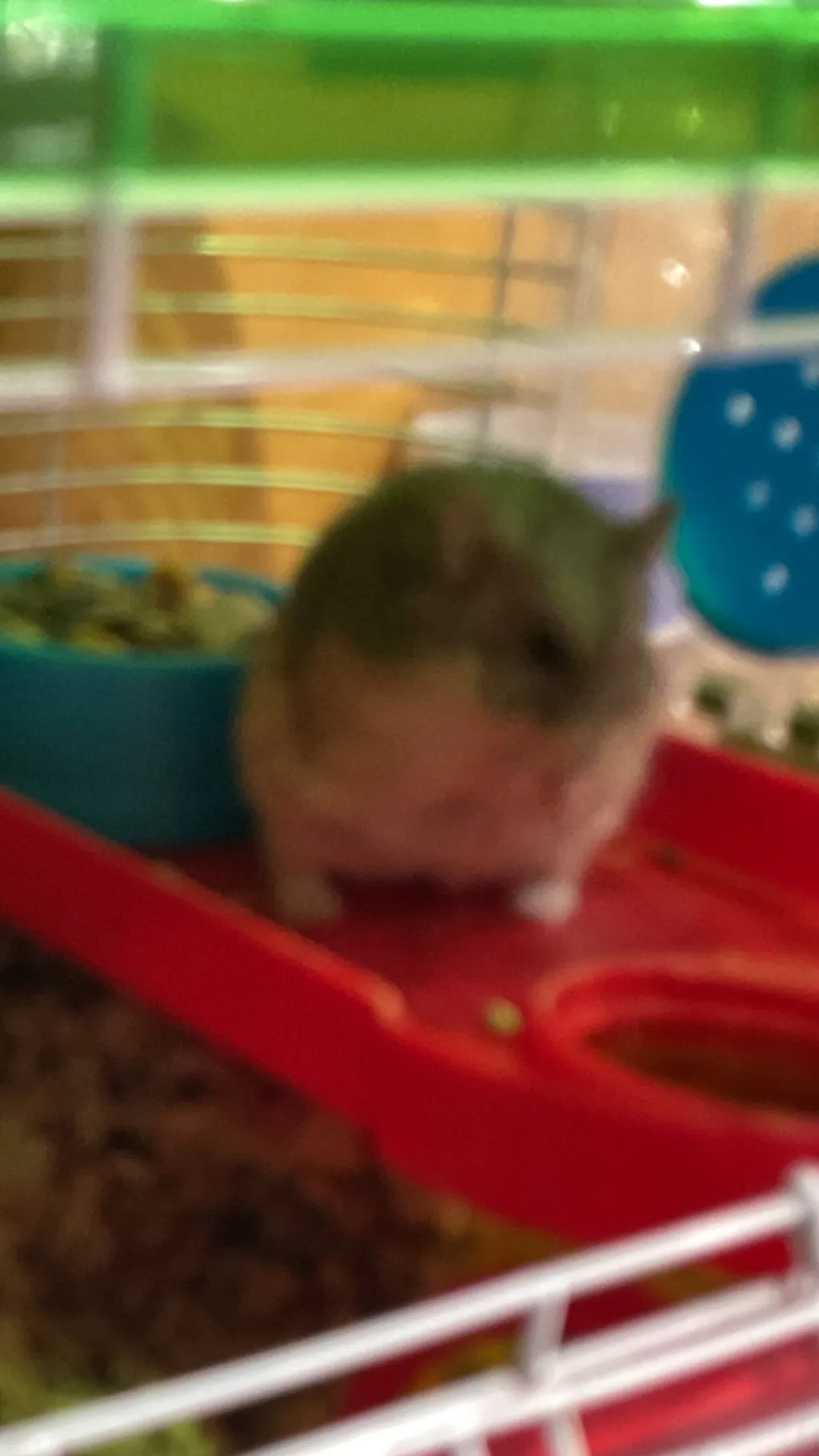 ai character: My pet background