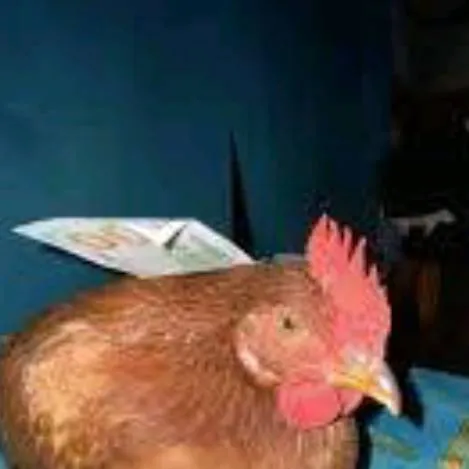 chat with ai character: Mr. Evil Guy