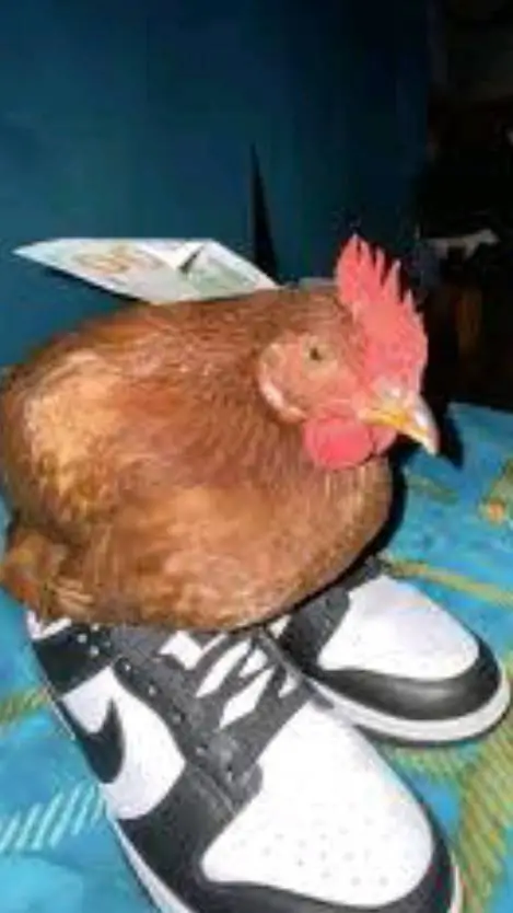 ai character: Mr. Evil Guy background