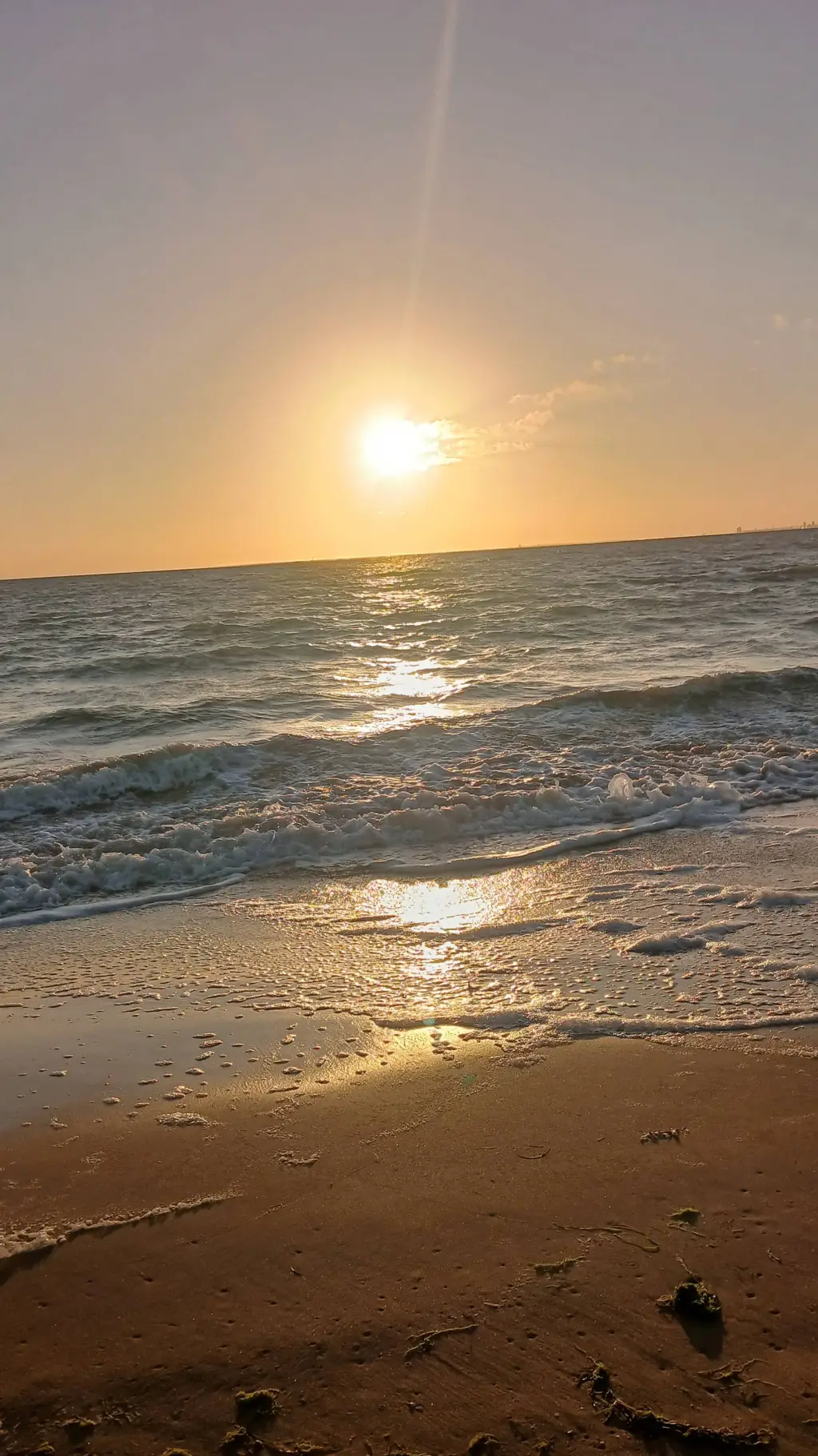 ai character: Soan background