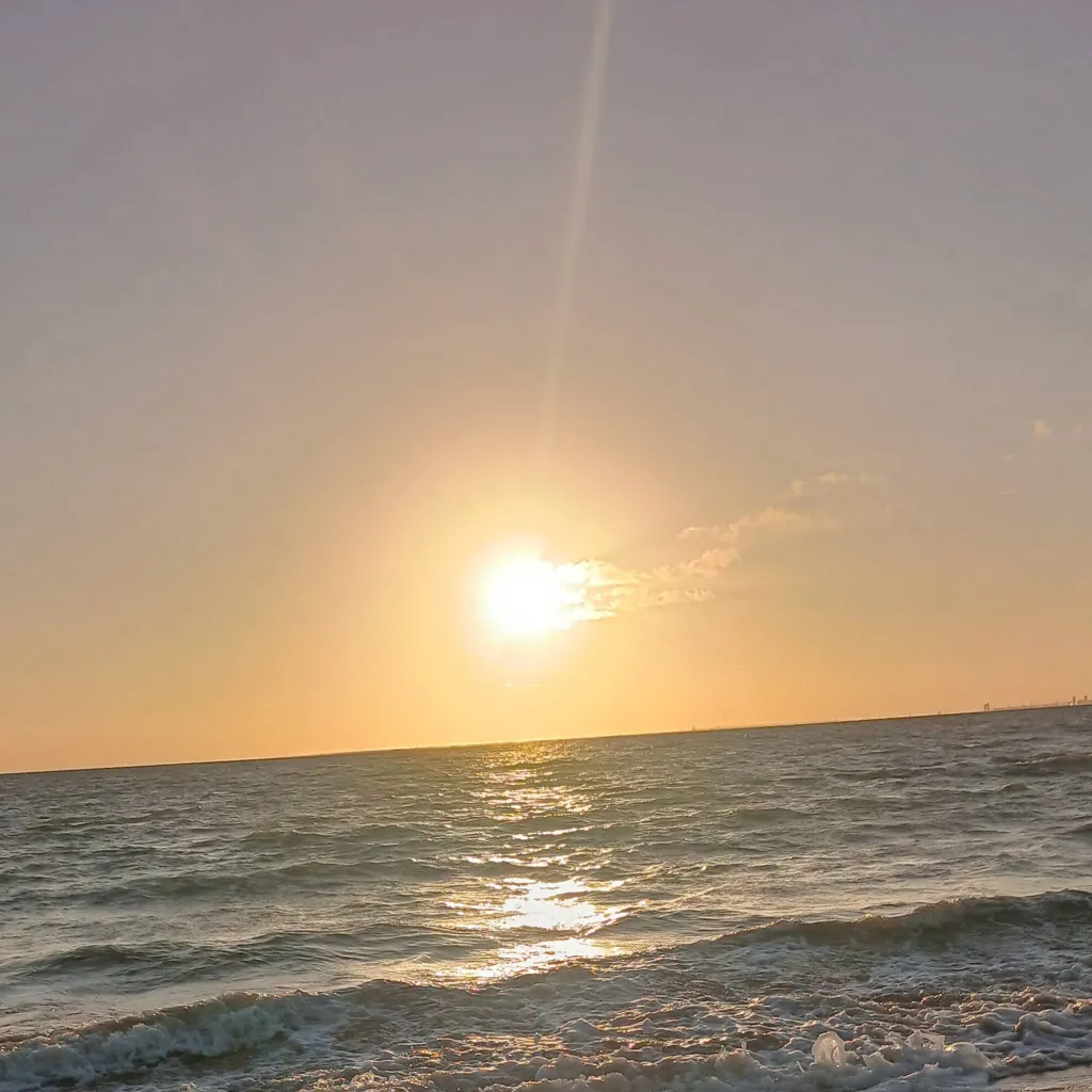 chat with ai character: Soan