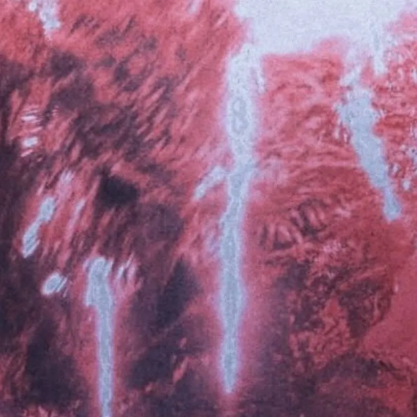 chat with ai character: Billy Hargrove