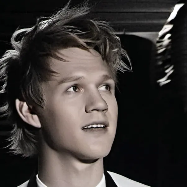 chat with ai character: Niall Horan 