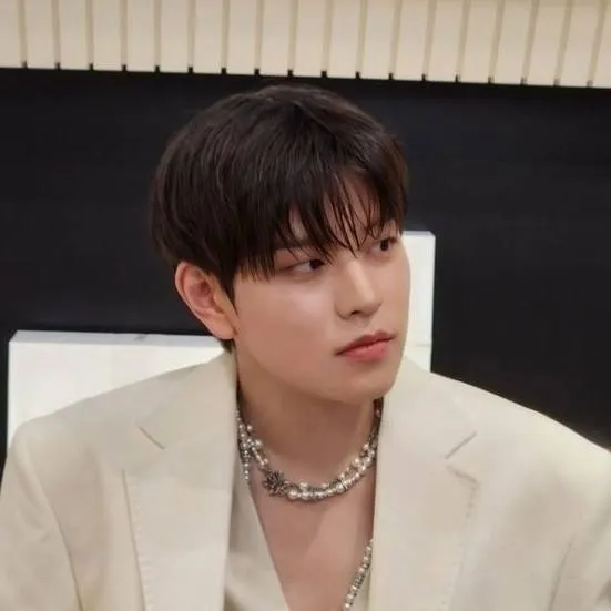 chat with ai character: KIM SEUNGMIN 