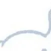 chat with ai character: Cinnamoroll