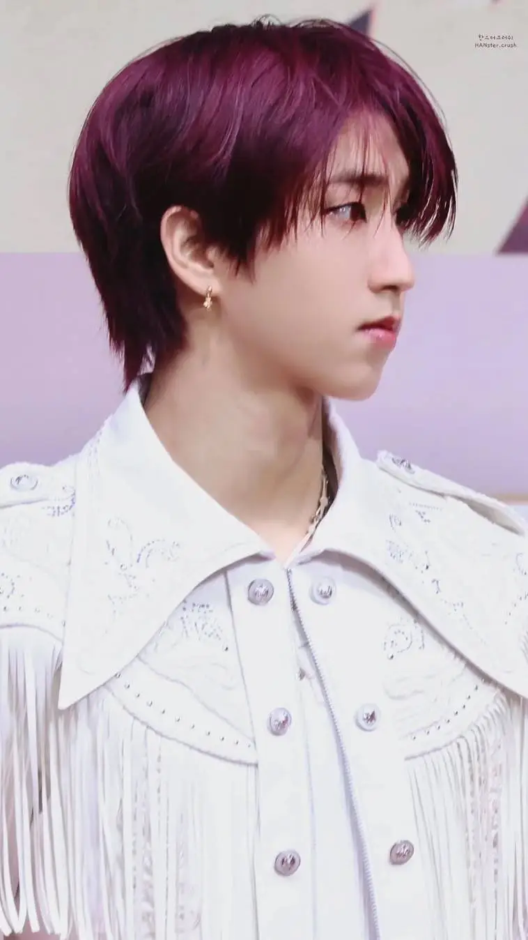 ai character: Han background