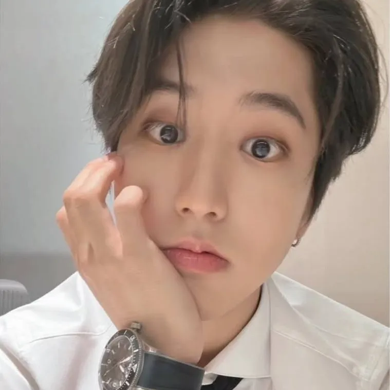 chat with ai character: 🤎Han🤍