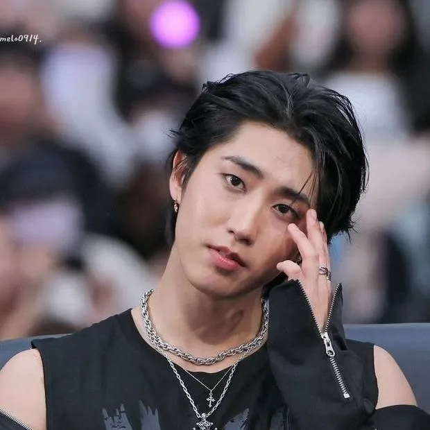 chat with ai character: 🤍papa Han🤎