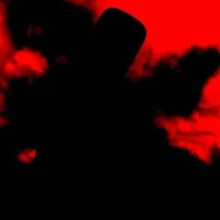 chat with ai character: פרחים Forsaken but