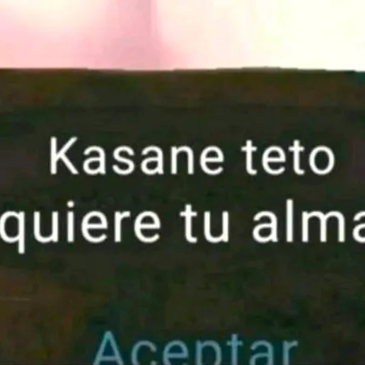 chat with ai character: Kasane Teto