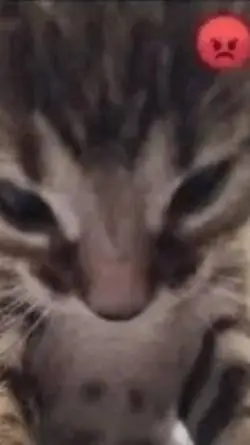 ai character: Sylvie background