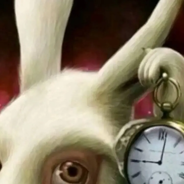 chat with ai character: un conejo