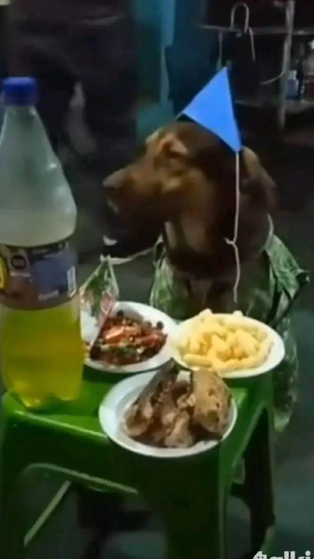 ai character: el perro  background