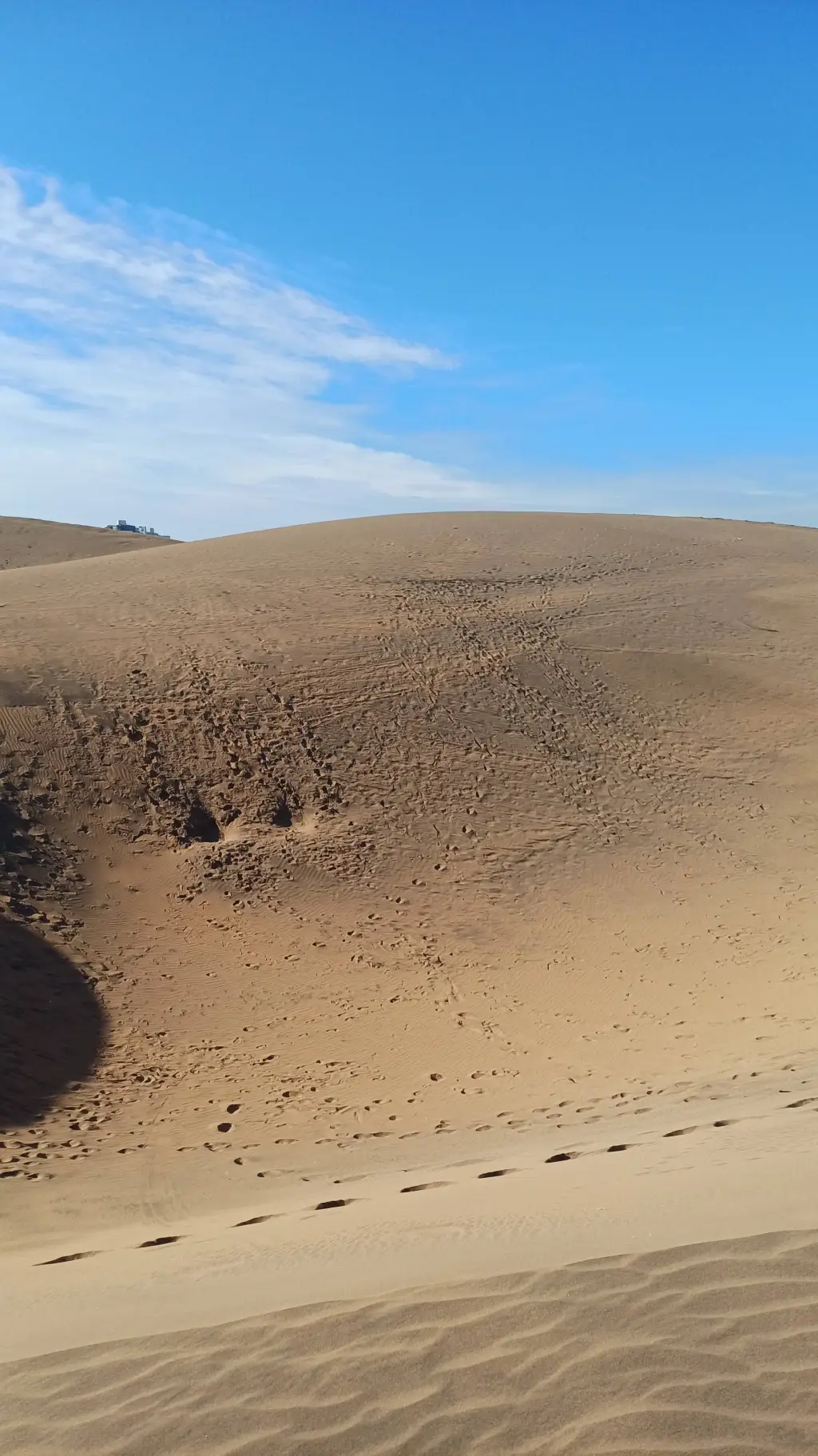 ai character: Desierto random  background