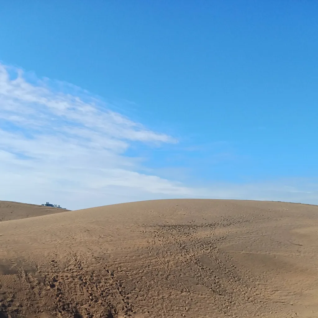 chat with ai character: Desierto random 