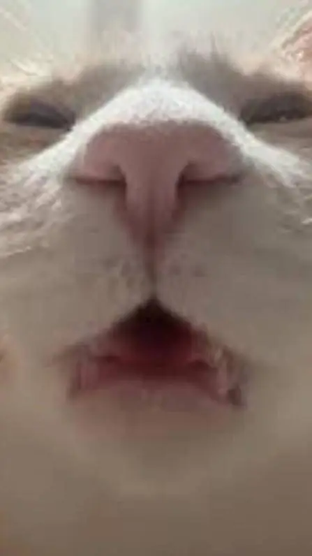 ai character: com 11😟 background