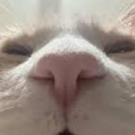 chat with ai character: com 11😟