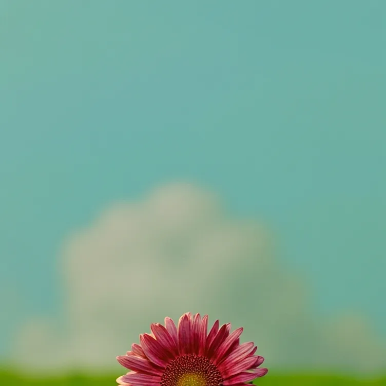 chat with ai character: Grass and flower