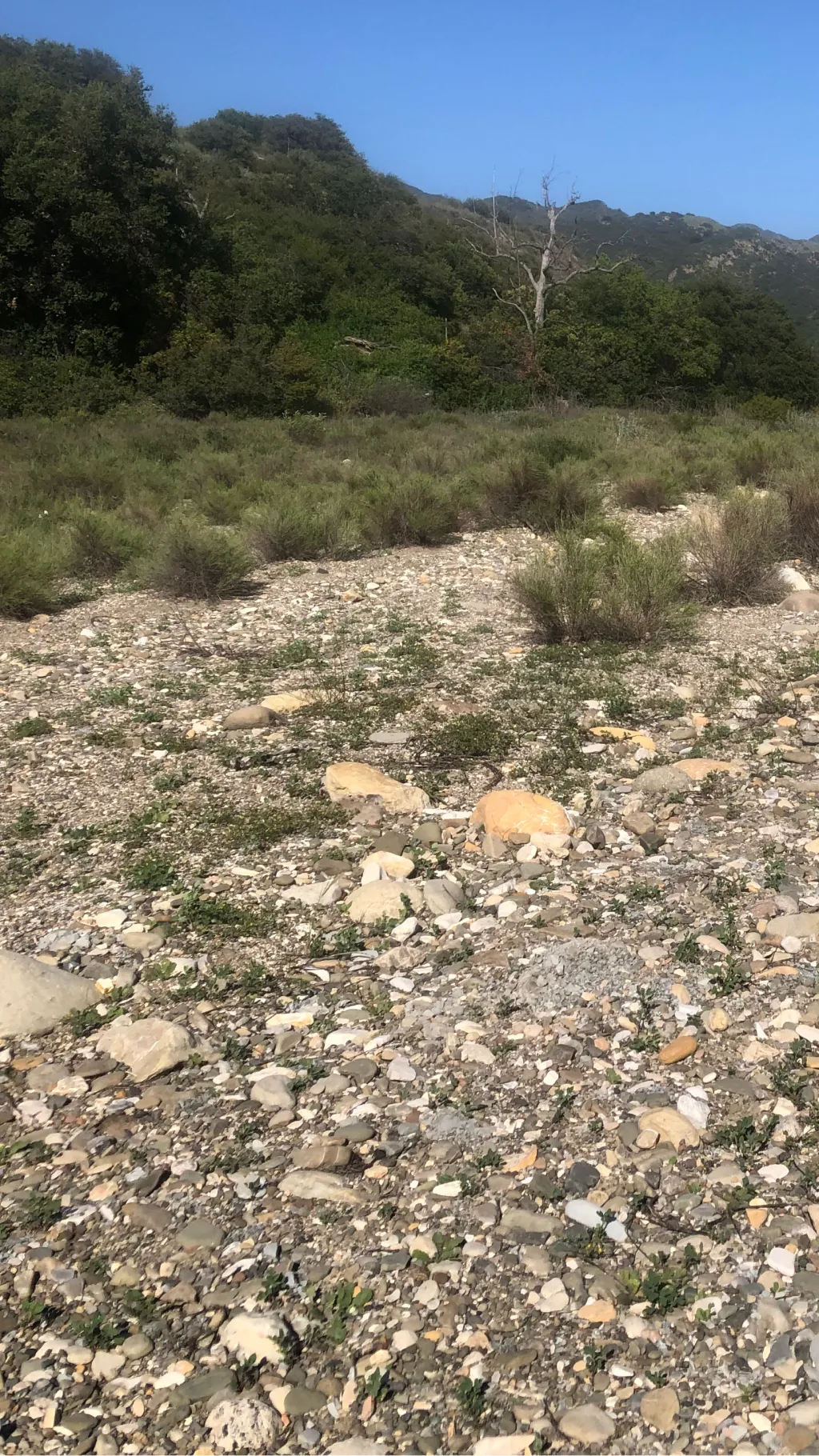 ai character: Thanos gng fight!? background