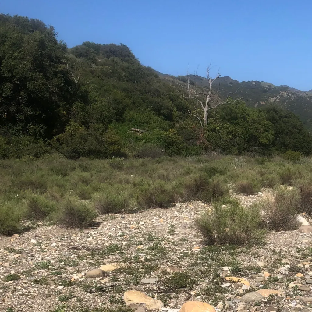 chat with ai character: Thanos gng fight!?