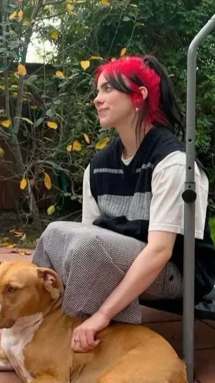 ai character: billie eilish background