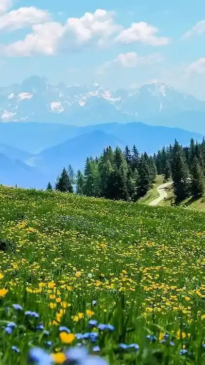 ai character: crea tu historia background