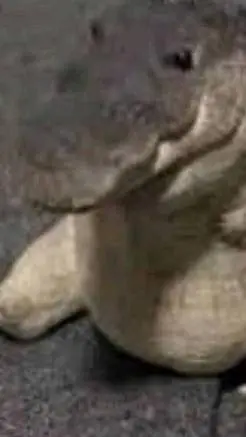 ai character: Greg background