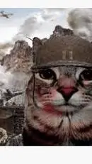 ai character: gatovietnam :v background