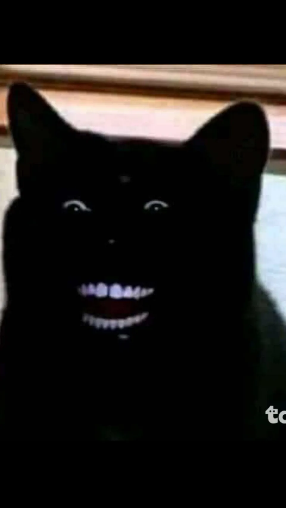 ai character: Black cats be like background