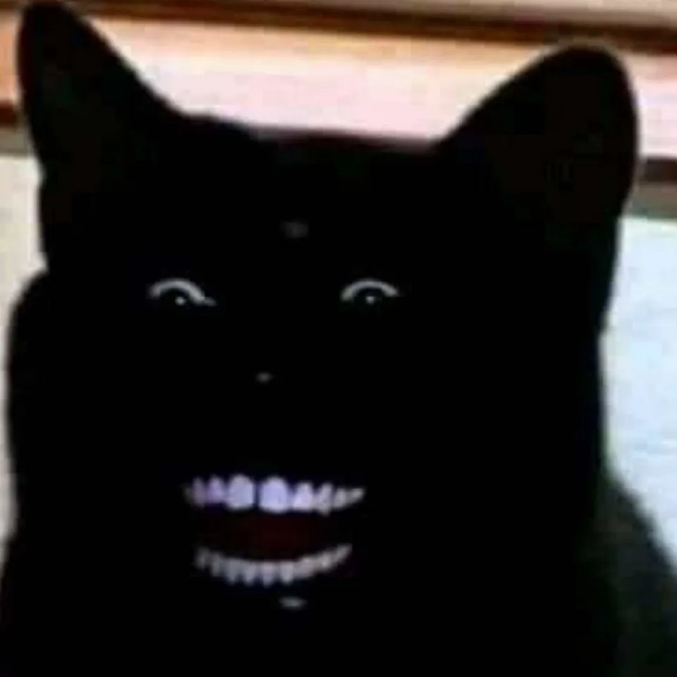 chat with ai character: Black cats be like