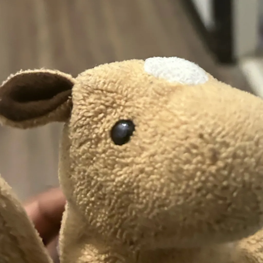 chat with ai character: The horse (prime)
