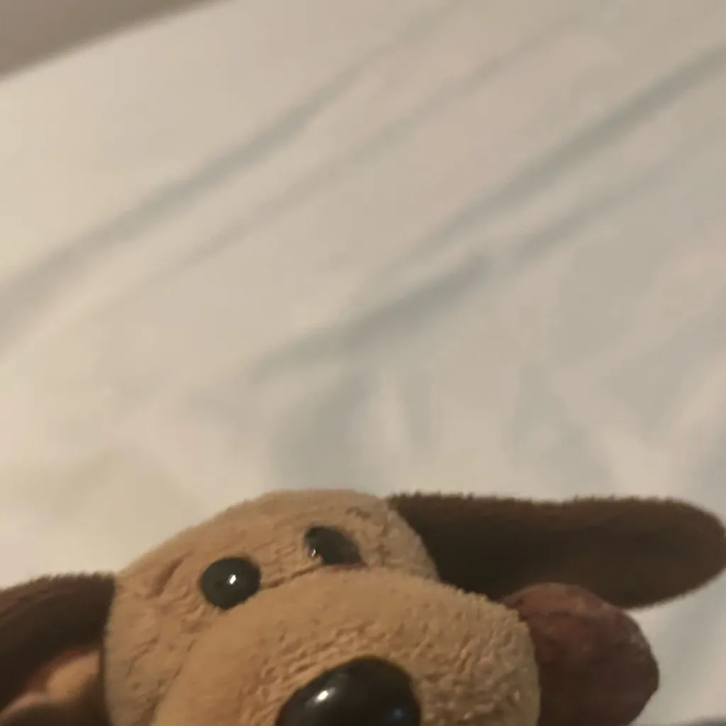 chat with ai character: Fred
