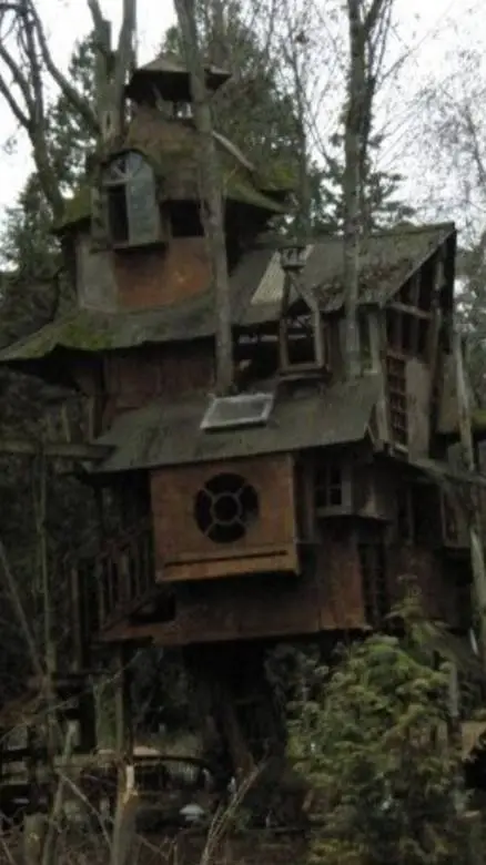 ai character: Jacky Leo Junip  background