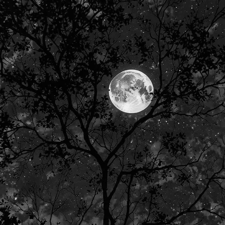 chat with ai character: Ghost~