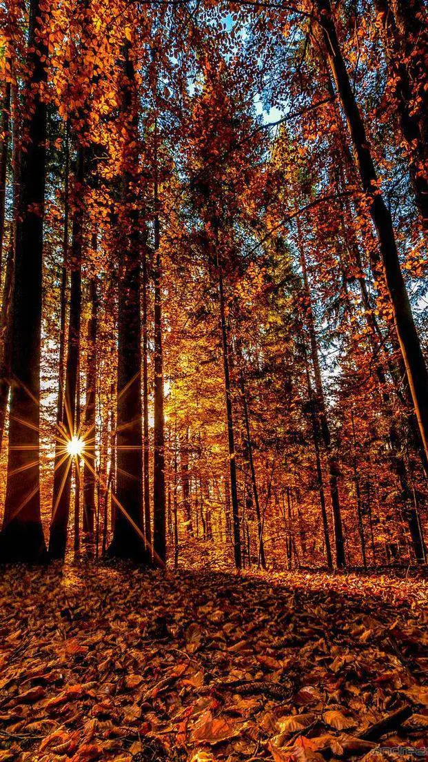 ai character: chainsaw man  background