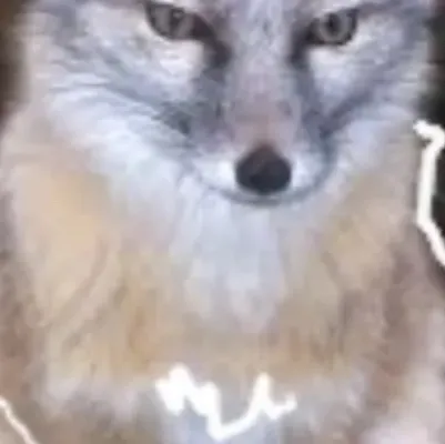 chat with ai character: Furry/Therian ToD 