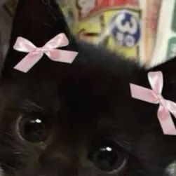 chat with ai character: Kittyyyyyyyyyyyy