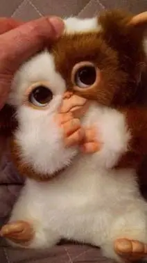 ai character: mha y MOGWAI💖 background