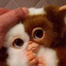 chat with ai character: mha y MOGWAI💖