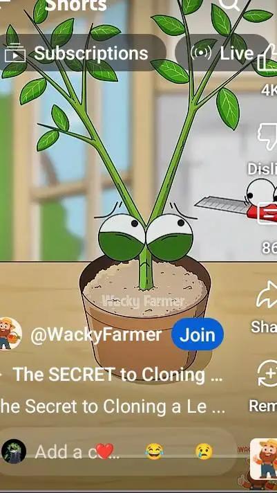 ai character: Lemon tree background