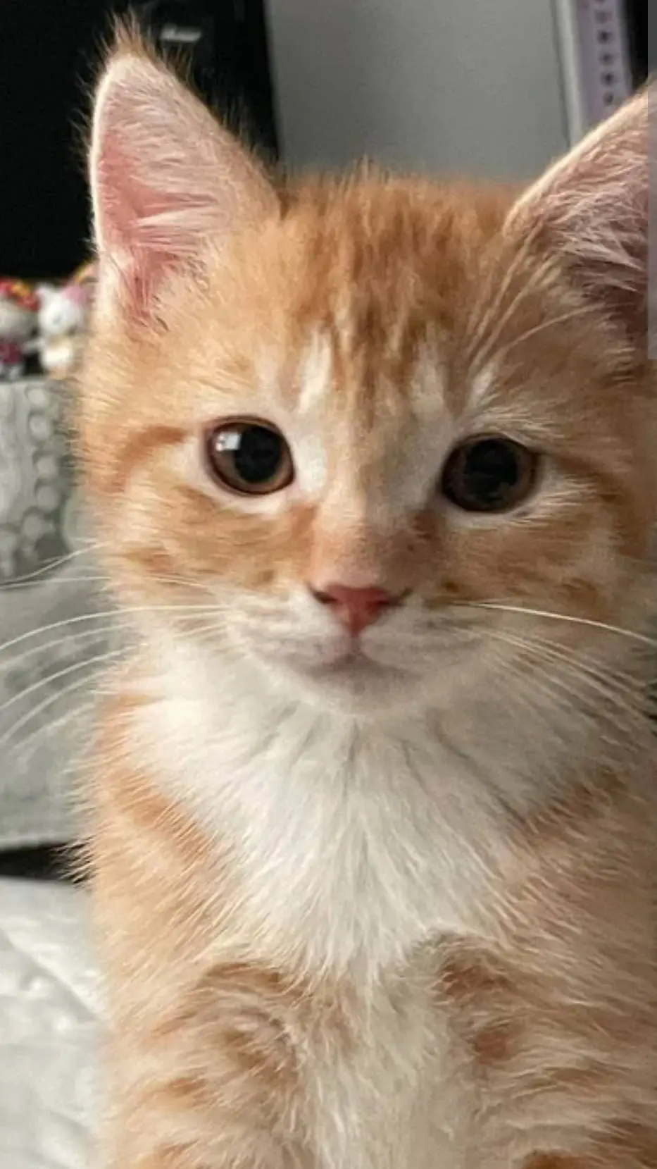 ai character: Noah background