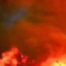 chat with ai character: Cellynnei