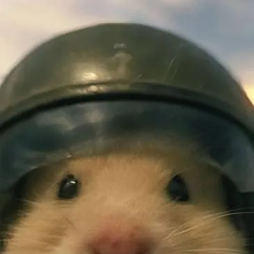 chat with ai character: Noob x Guest 