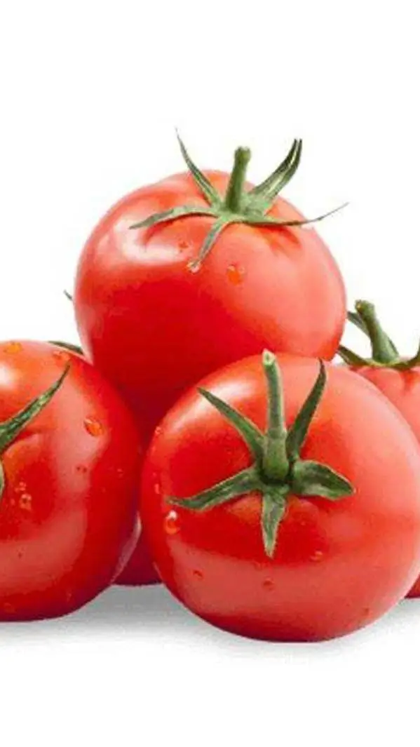 ai character: noob x guest background