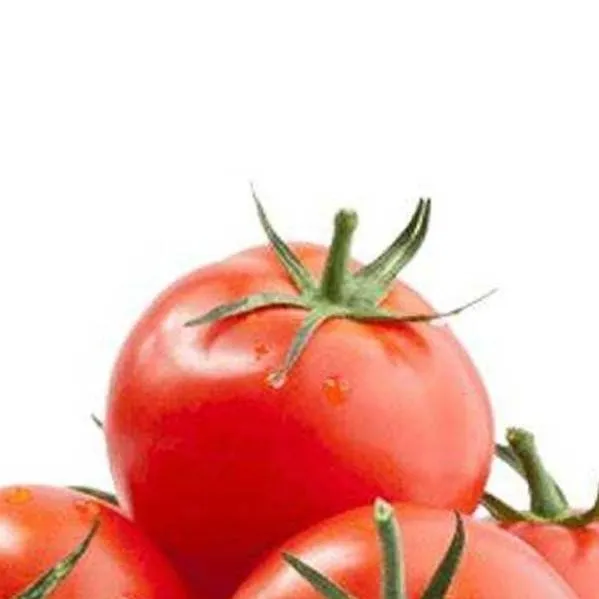 chat with ai character: noob x guest