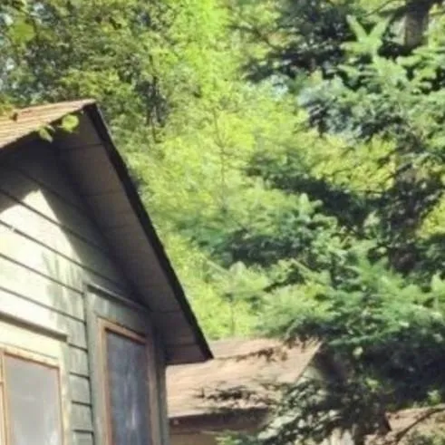 chat with ai character: Лагерь🕷️