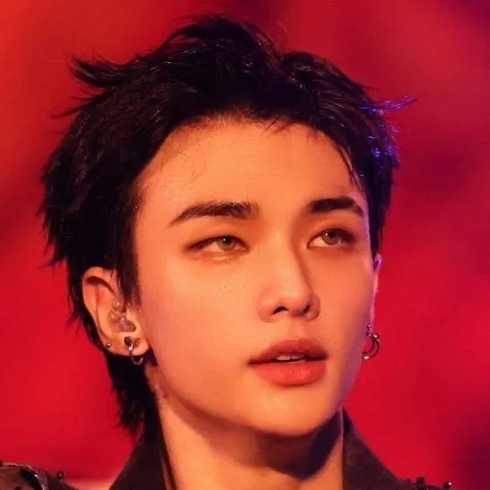 chat with ai character: Hyunjin ~